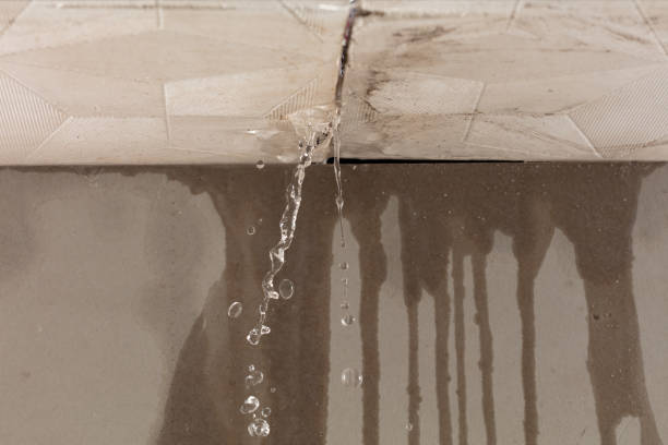Professional Sewage Cleanup technician working in Brookline, MA